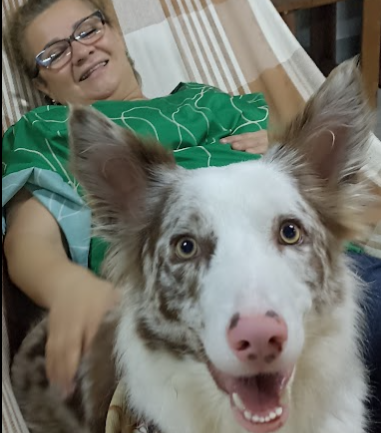 O poder terapêutico do vínculo com os animais